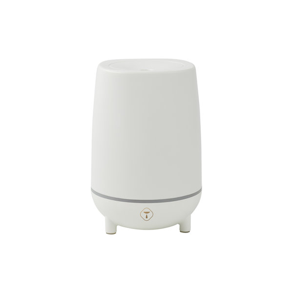 Trapp Fragrances Plug In Fragrance PlugIns And Refills Wayfair